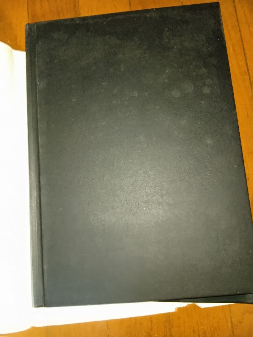 彫秀 彫勇 Horihide's World 刺青 入墨